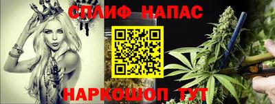 молекула духа Партизанск
