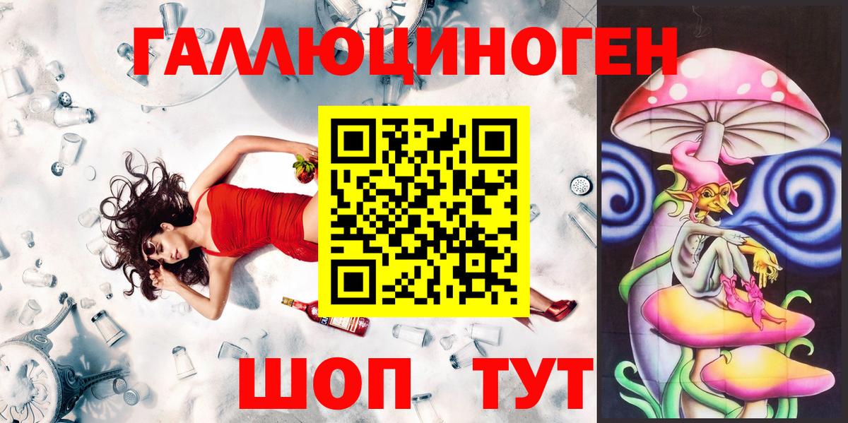 Псилоцибиновые грибы прущие грибы Сосновый Бор