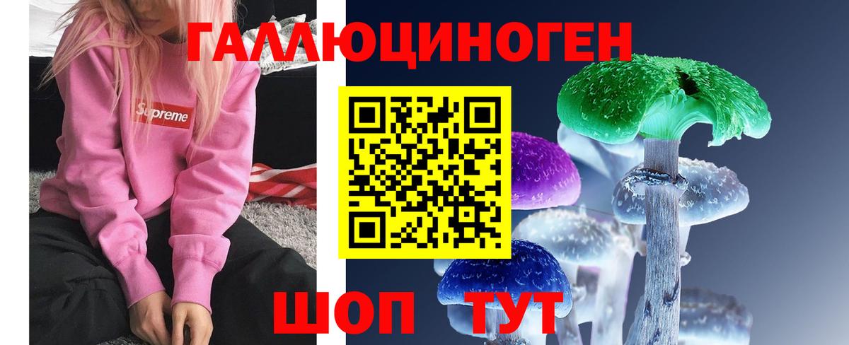 Сосновый Бор  Галлюциногенные грибы MAGIC MUSHROOMS  Вход с VPN 